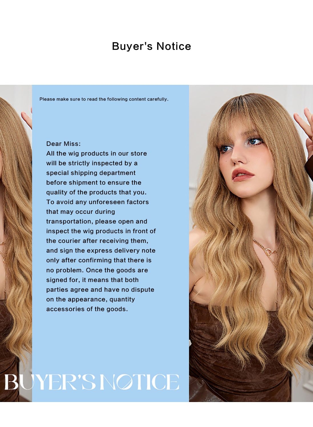 EMMOR Long Straight  Wig for Women - Natural Looking Synthetic Hair Wig with Realistic Texture